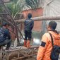 Cuaca Ekstrem, Pohon Kelapa Tumbang Timpa Bengkel Las di Caringin Sukabumi