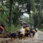 Diterjang Longsor dan Banjir Bandang, Akses Sukabumi-Sagaranten Terapkan Buka-Tutup