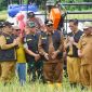 Bupati Sukabumi Pimpin Panen Raya, Tegaskan Peran Vital Ciemas dalam Swasembada Pangan Nasional