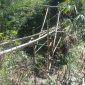 Detik-Detik Jembatan Bambu di Sagaranten Ambruk: Lima Warga Terjatuh dan Tertimpa Material Saat Gotong Royong