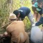Misteri Kerangka Manusia di Sagaranten Terungkap: Korban Teridentifikasi, Terduga Pelaku Ditangkap Tanpa Perlawanan