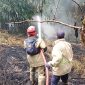 Diduga Akibat Aktivitas Pembakaran Lahan, Kebun Bambu di Nyalindung Sukabumi Hangus Terbakar