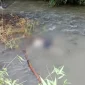 Sempat Hilang Empat Hari, Pria Asal Ciambar Ditemukan Tewas di Aliran Sungai Cimunjul