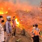 Api Belum Padam, 18 Hektare Lahan Perhutani di Jampangtengah Sukabumi Hangus Terbakar