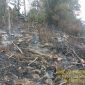 Diduga Dibakar, 10 Hektare Lahan Warga di Jampangtengah Sukabumi Hangus Dilalap Api