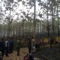 Kebakaran Hebat Melanda 30 Hektare Lahan Jati di Warungkiara Sukabumi, Proses Pemadaman Terkendala Medan