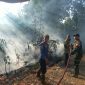 Lahan Kebun Bambu Seluas 1 Hektar di Pabuaran Sukabumi Terbakar, Api Berhasil Dipadamkan
