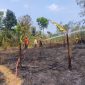 Dipicu Pembakaran Sampah, Kebakaran Lahan Ancam Pemukiman Warga di Cidadap Sukabumi